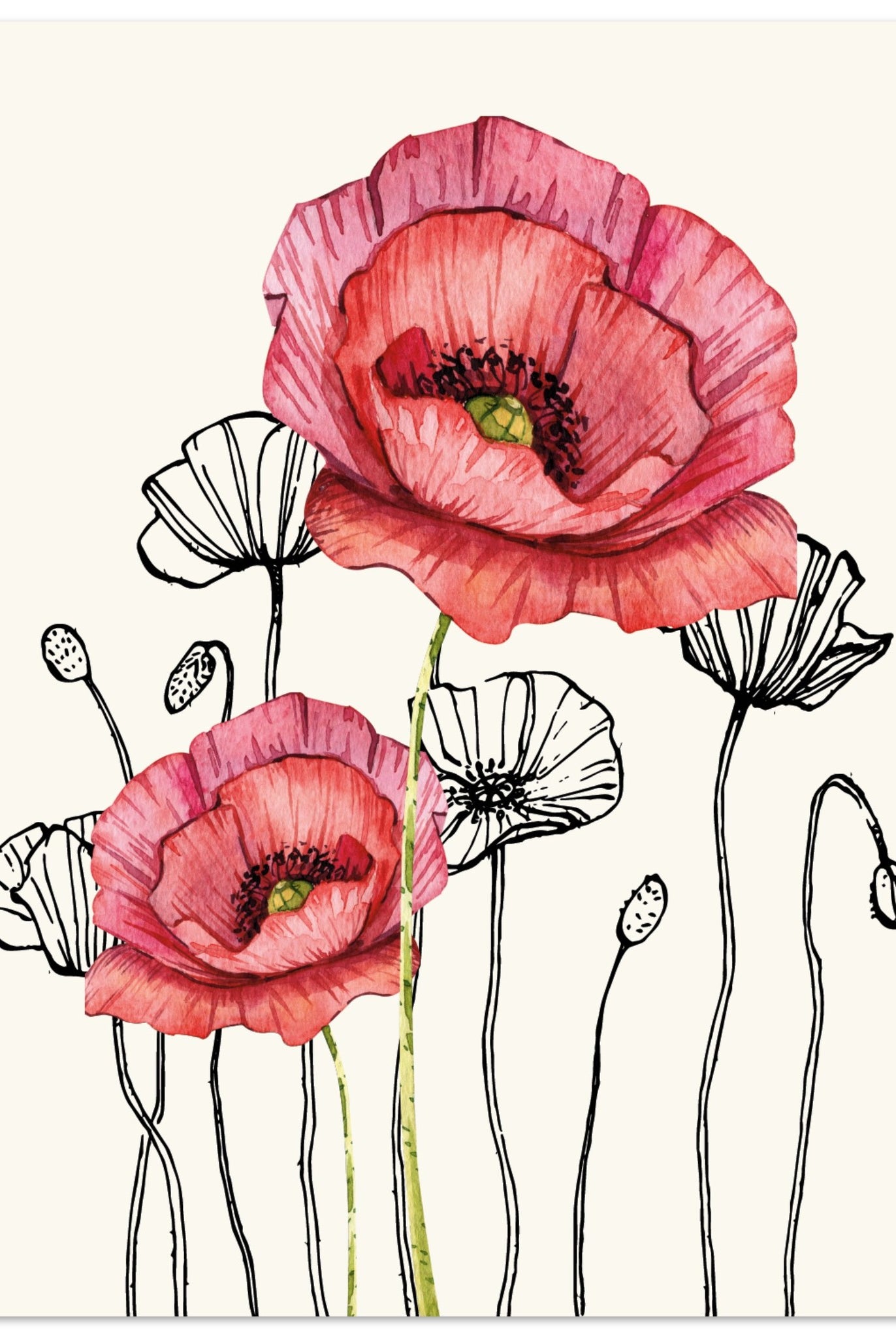 0dd28542-6664-48b4-9c3b-5246fda61e39