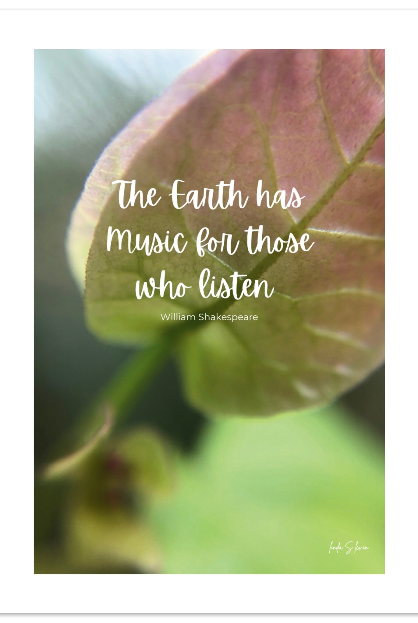 3ef0f662-8648-4588-adac-73d854289ed9