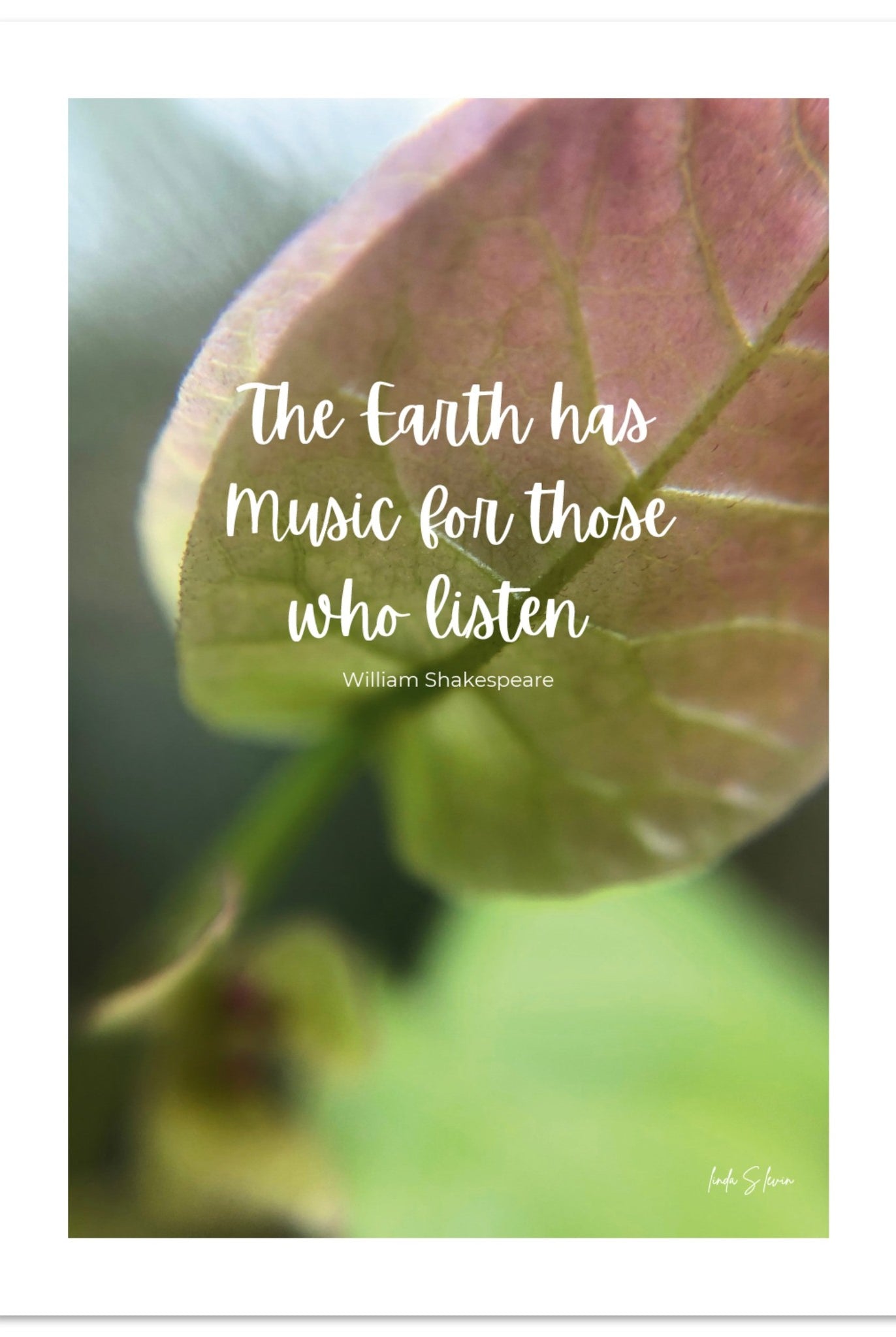 8289fa93-e9da-473a-baef-74c799ec155b