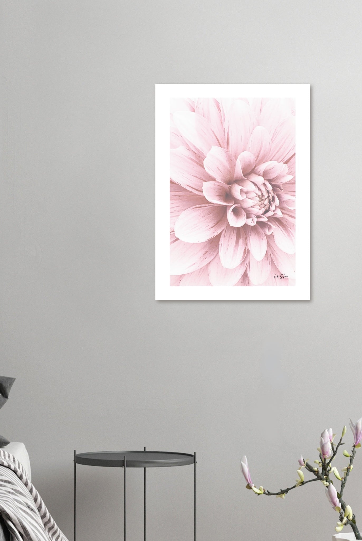 8ba4938a-7e76-4d9b-8a90-94b18a2929c8