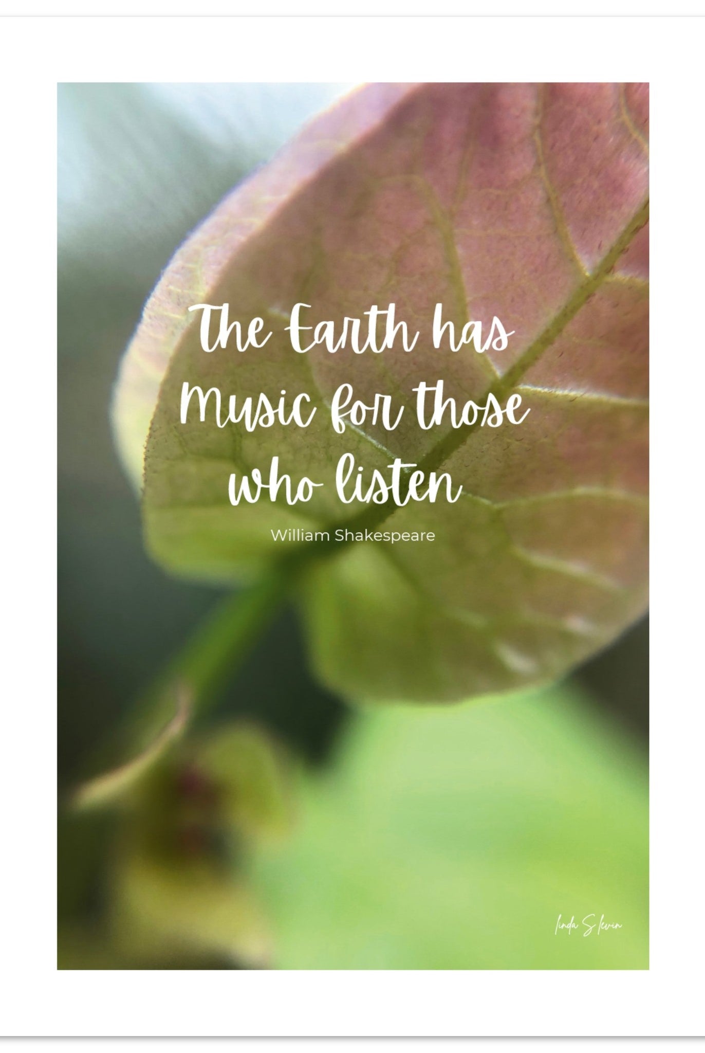 a6eb4f33-161d-453b-baf2-5395dae52e8c