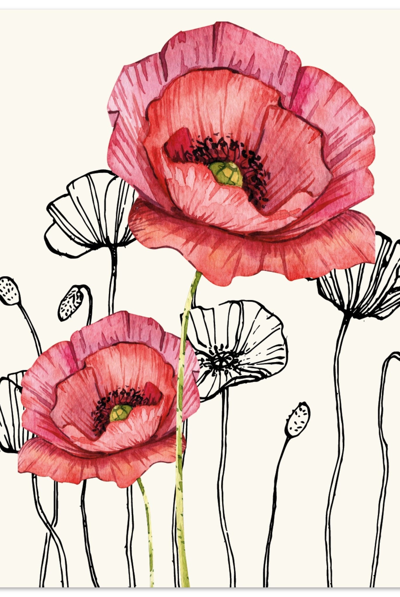 acea3f38-01d4-4ade-aadb-8ee543f4dd4e