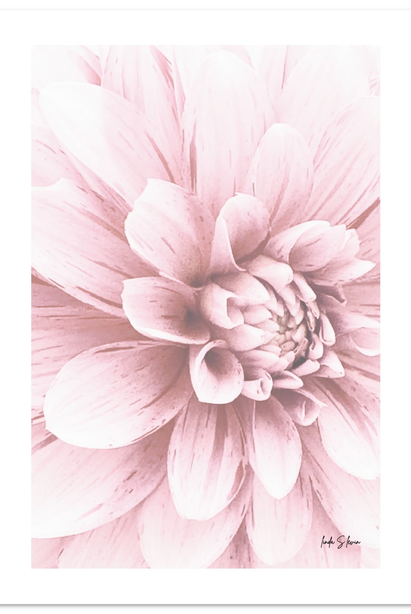 ebc633b0-f4d6-4a62-a431-6849bb149327