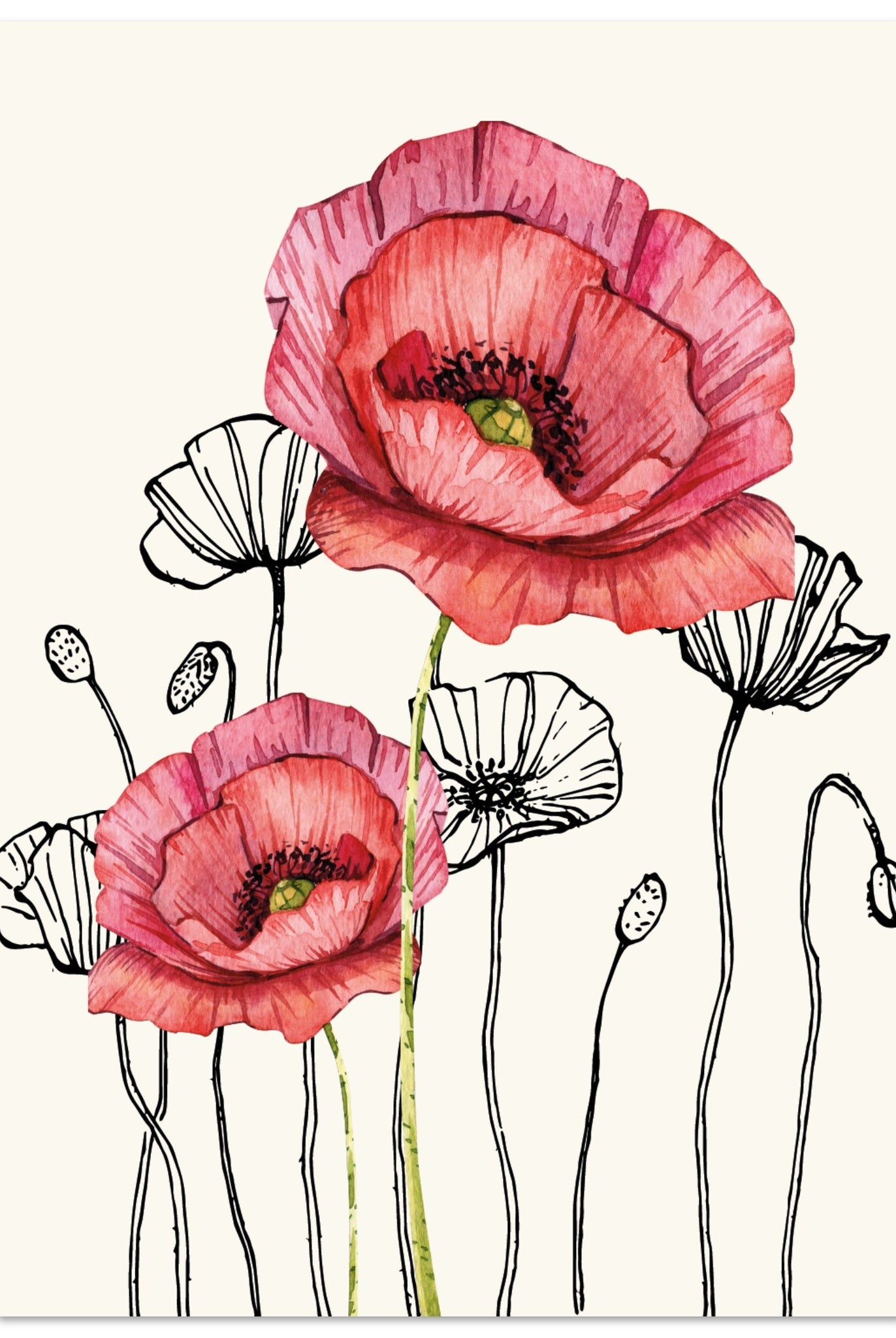 fcef6ff4-a00b-4156-b37c-ed0664916fdf