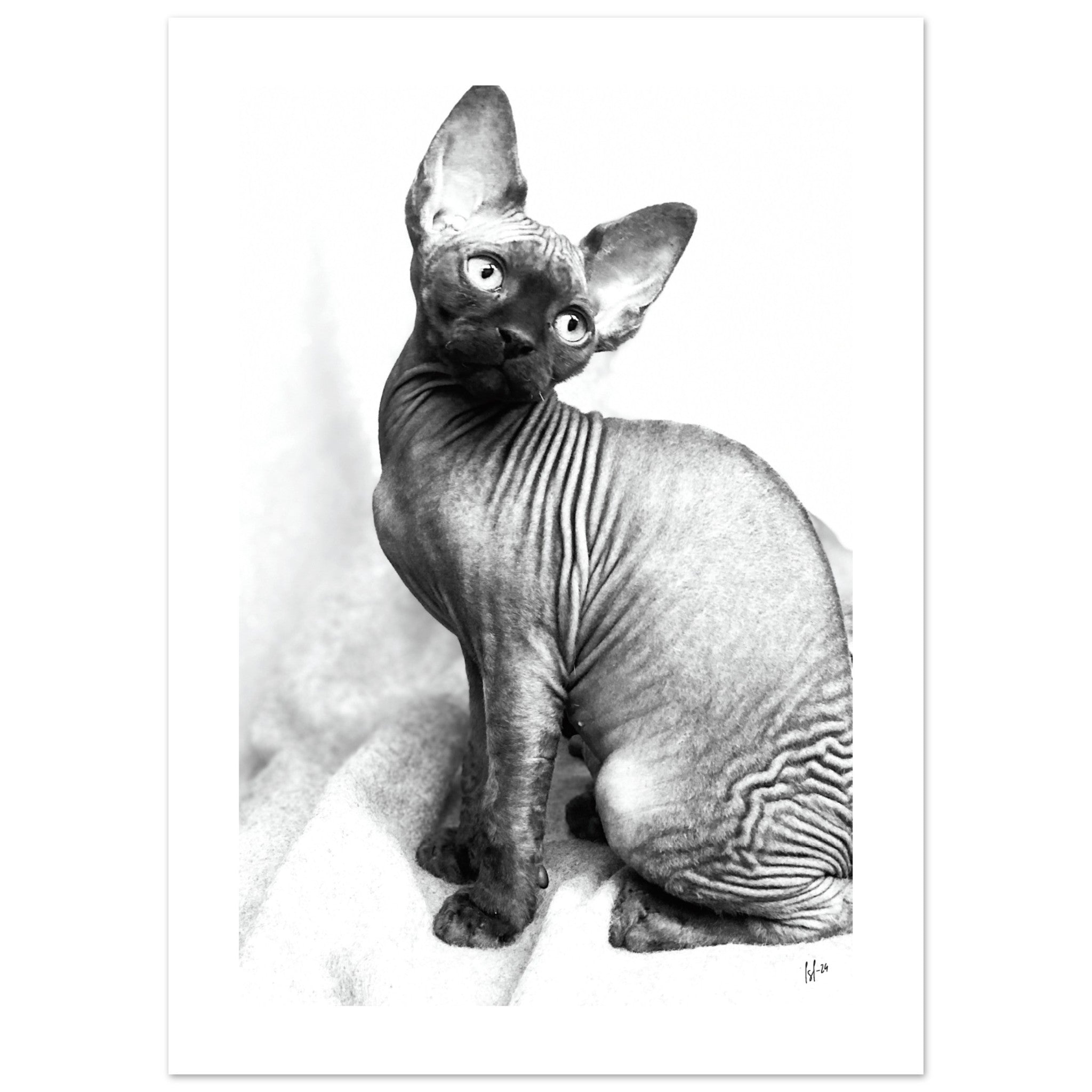 1e4177c7-186f-4e96-8a93-c6f20f22e69d