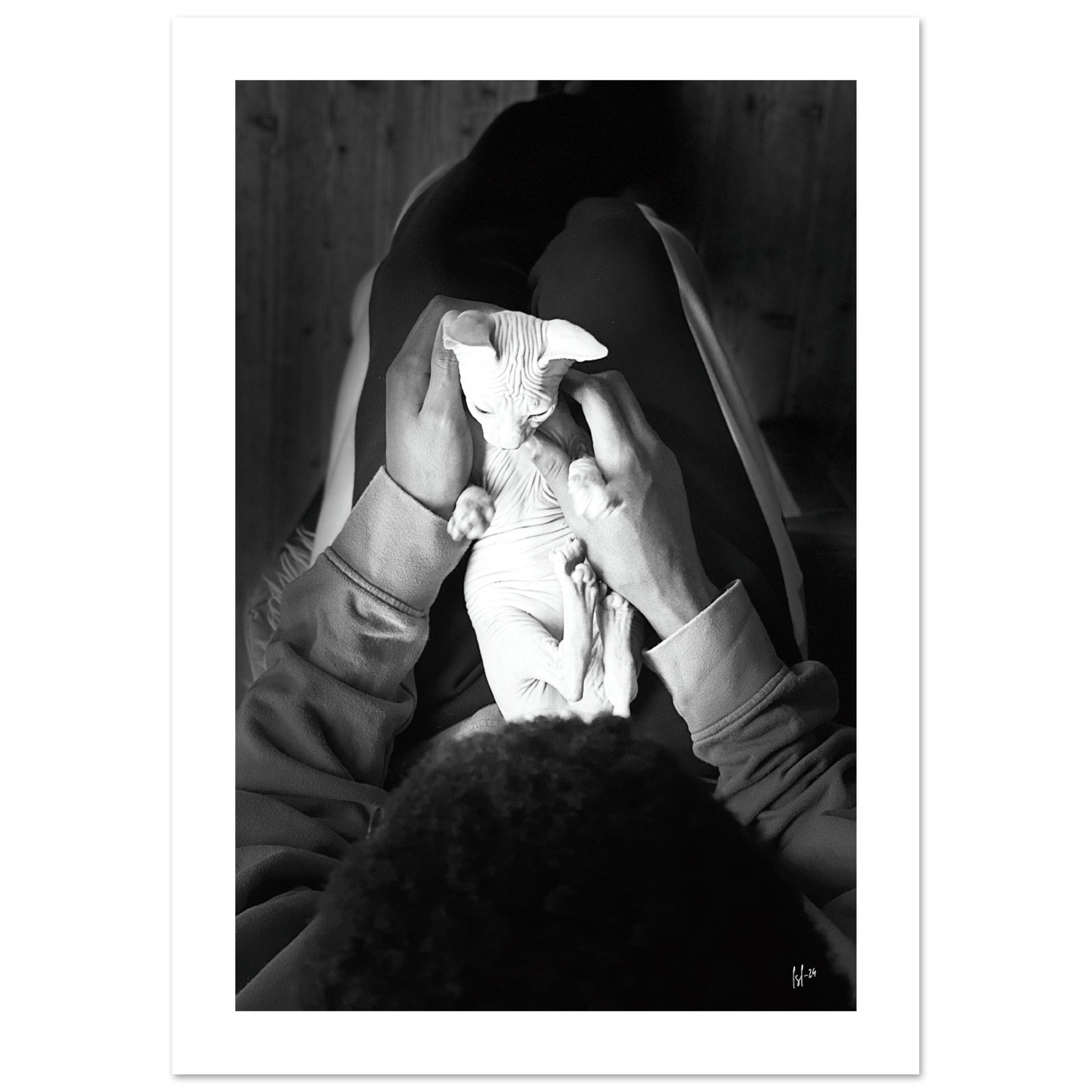 23f4db36-b0d4-439c-8300-e0270f8d2a91