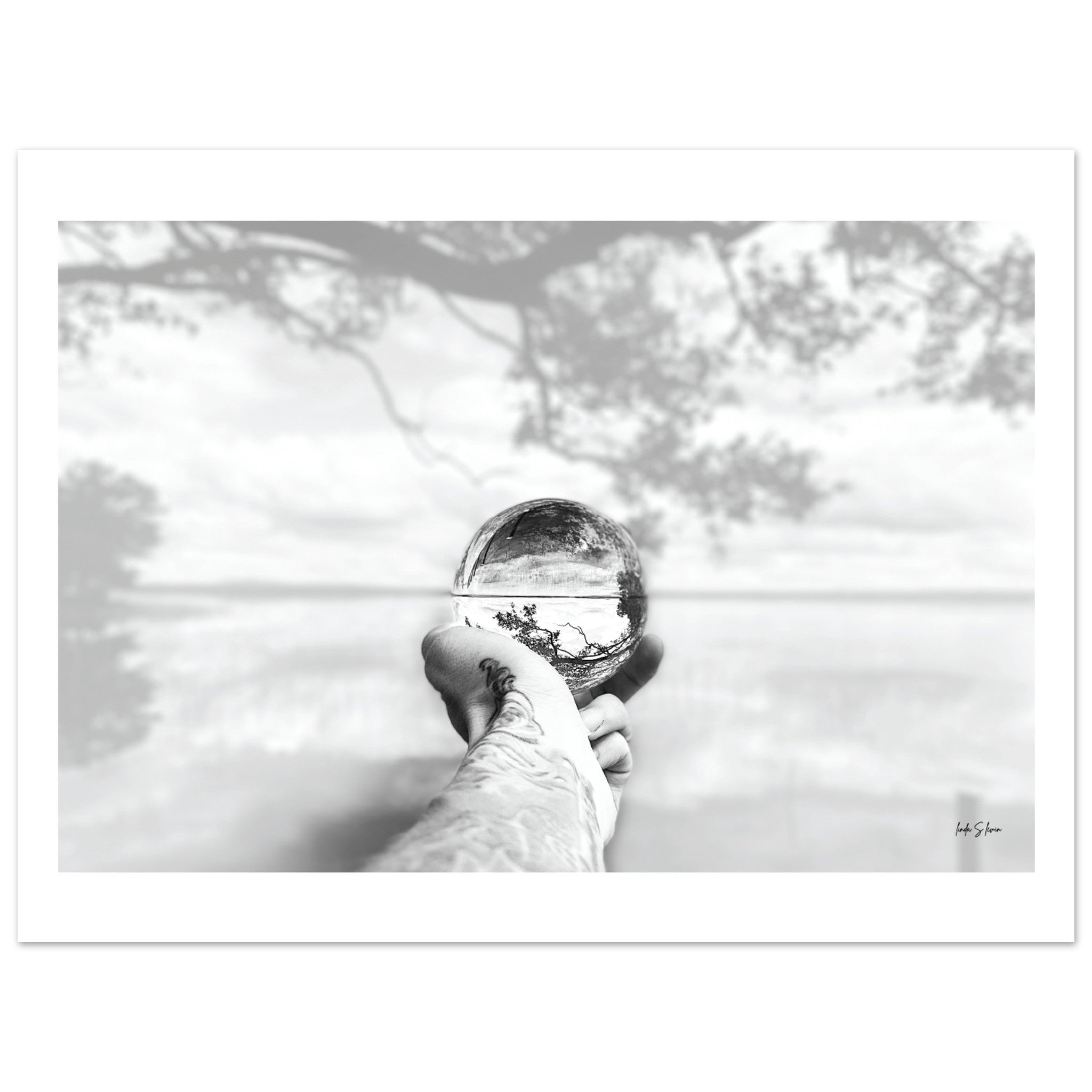 3c433059-4750-44b7-957b-208474785e2c