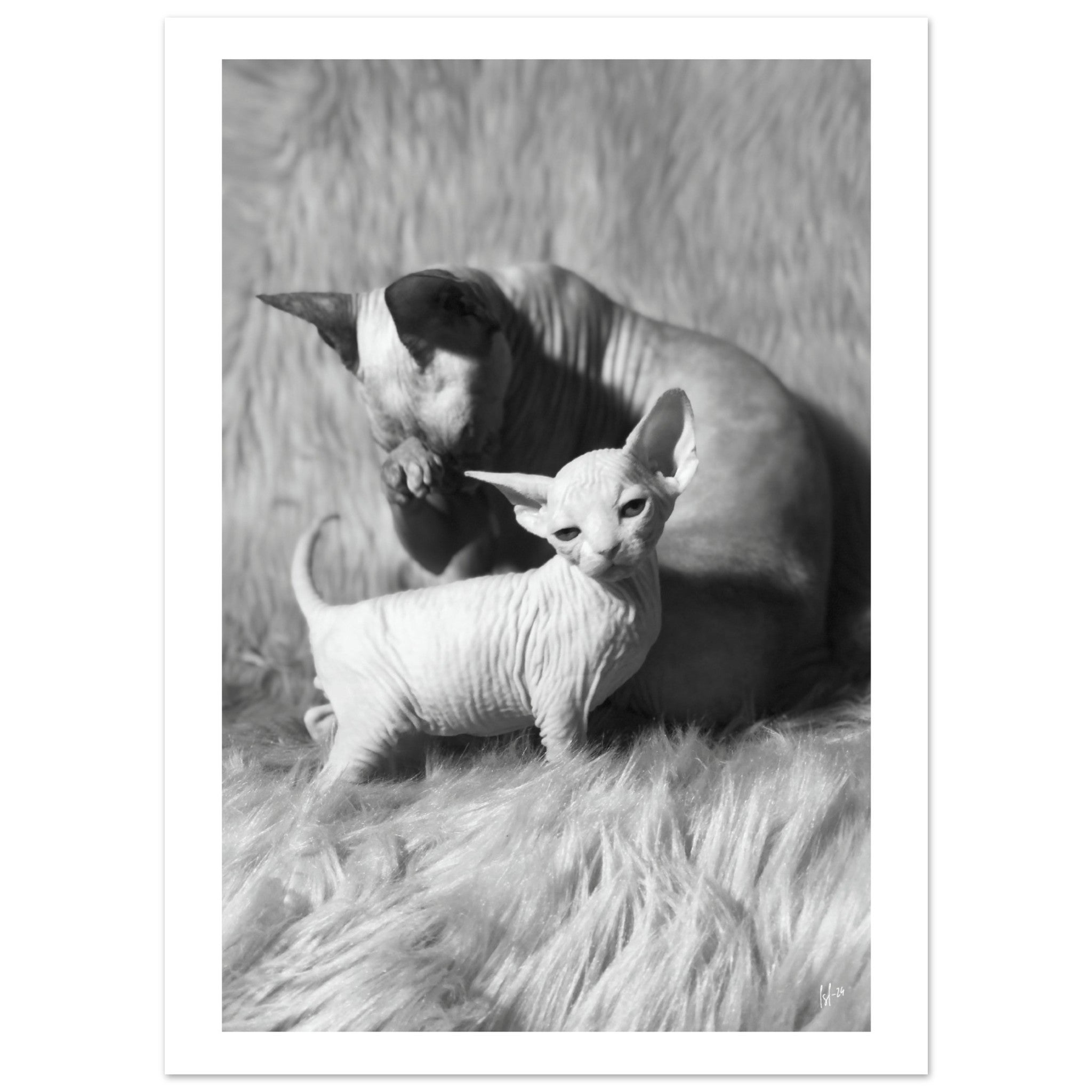 438b75ee-6ef3-4aa0-98be-180ddabd3ea0