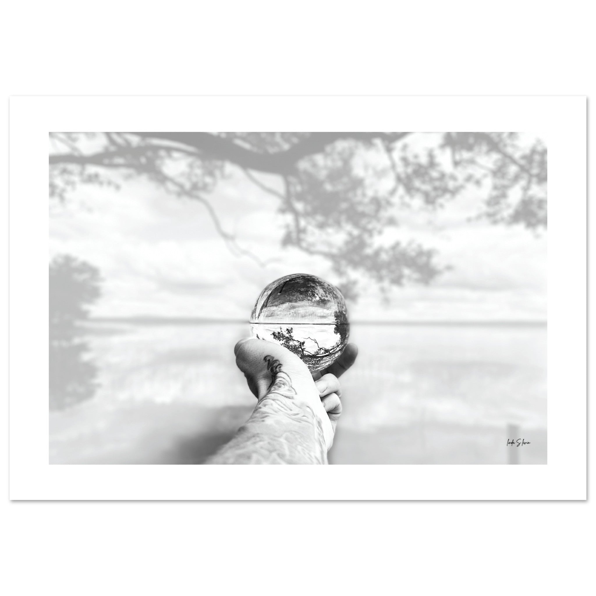 7294ac07-83fe-4d25-b155-035fb14d80b7