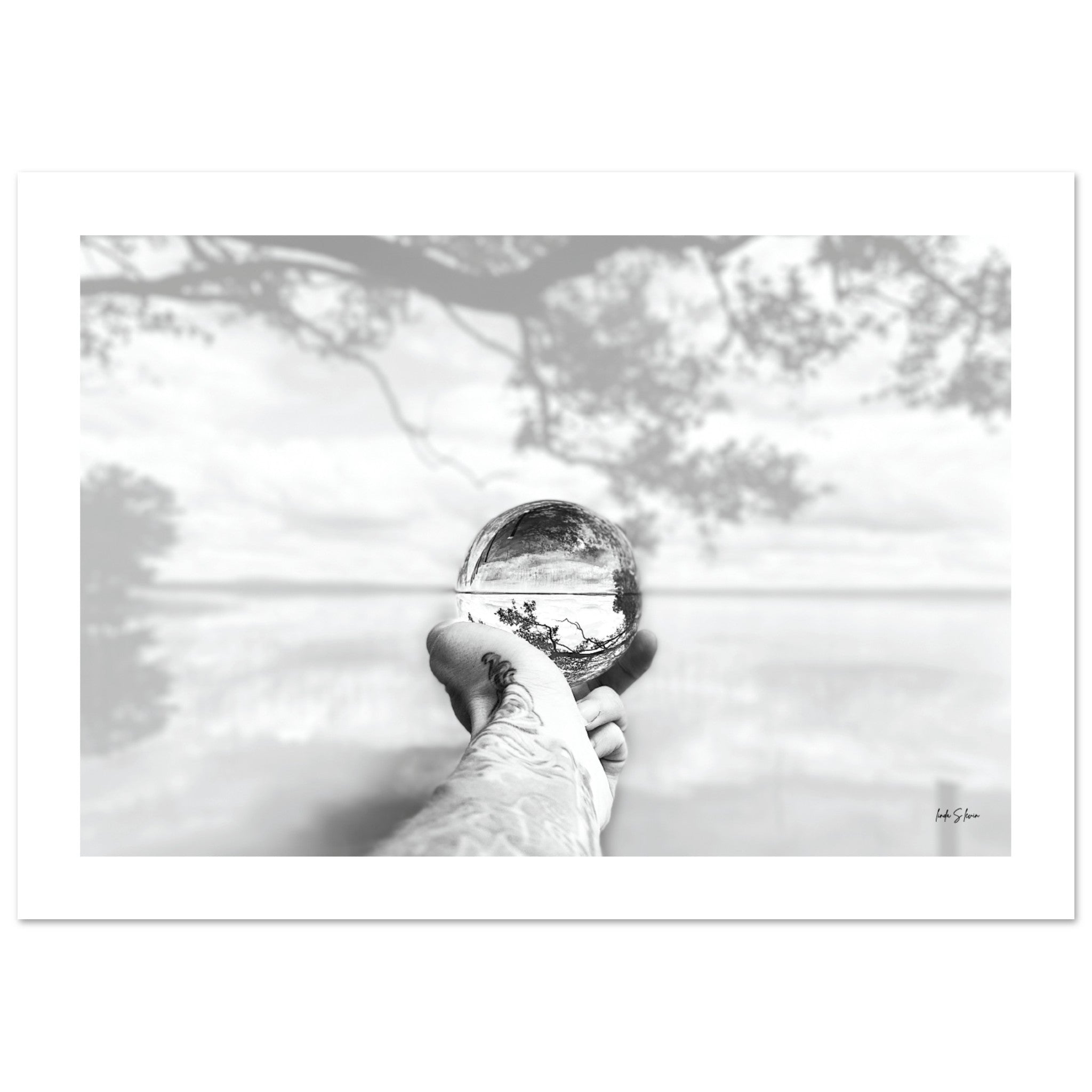 7665637d-ceb6-4740-9a5e-1a9a600f6c02