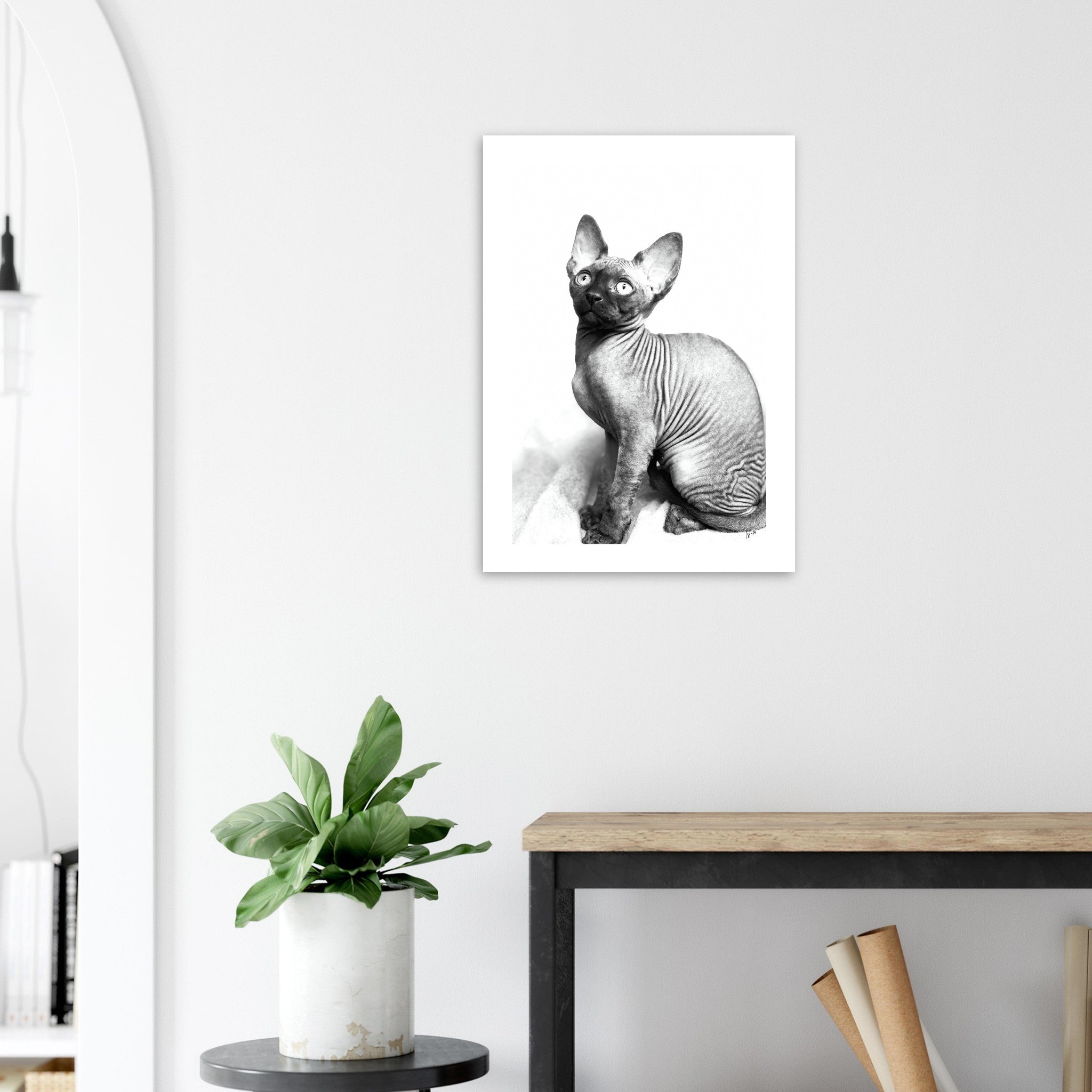 7a31a300-8bdd-4ace-904d-f77592b473a9