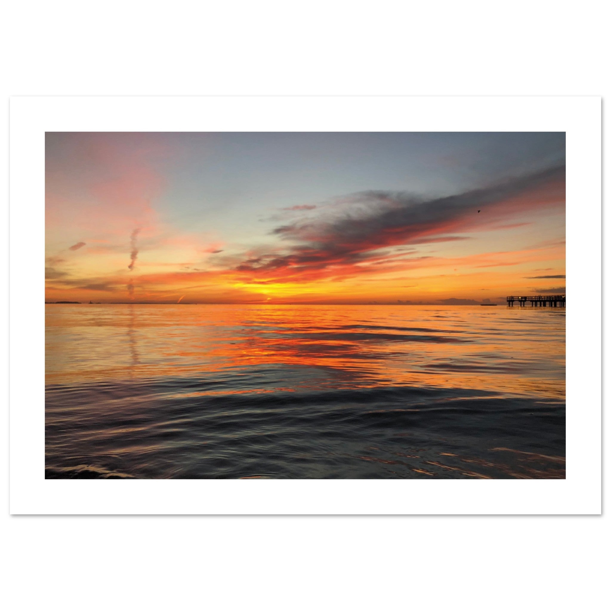 876e3d55-972a-4128-9f4e-ec0addf91671