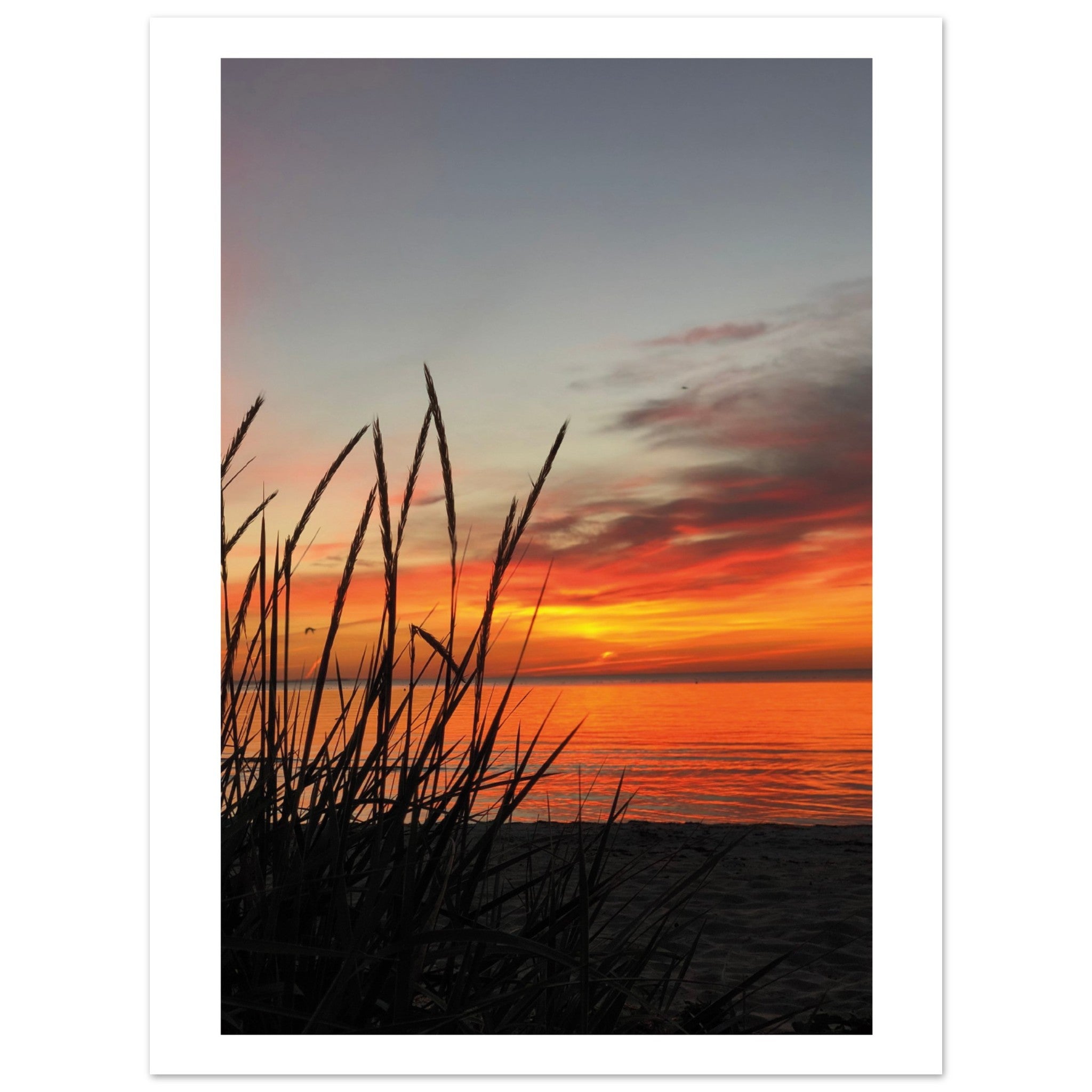 8a582b6a-46cc-426d-84d9-809011981958