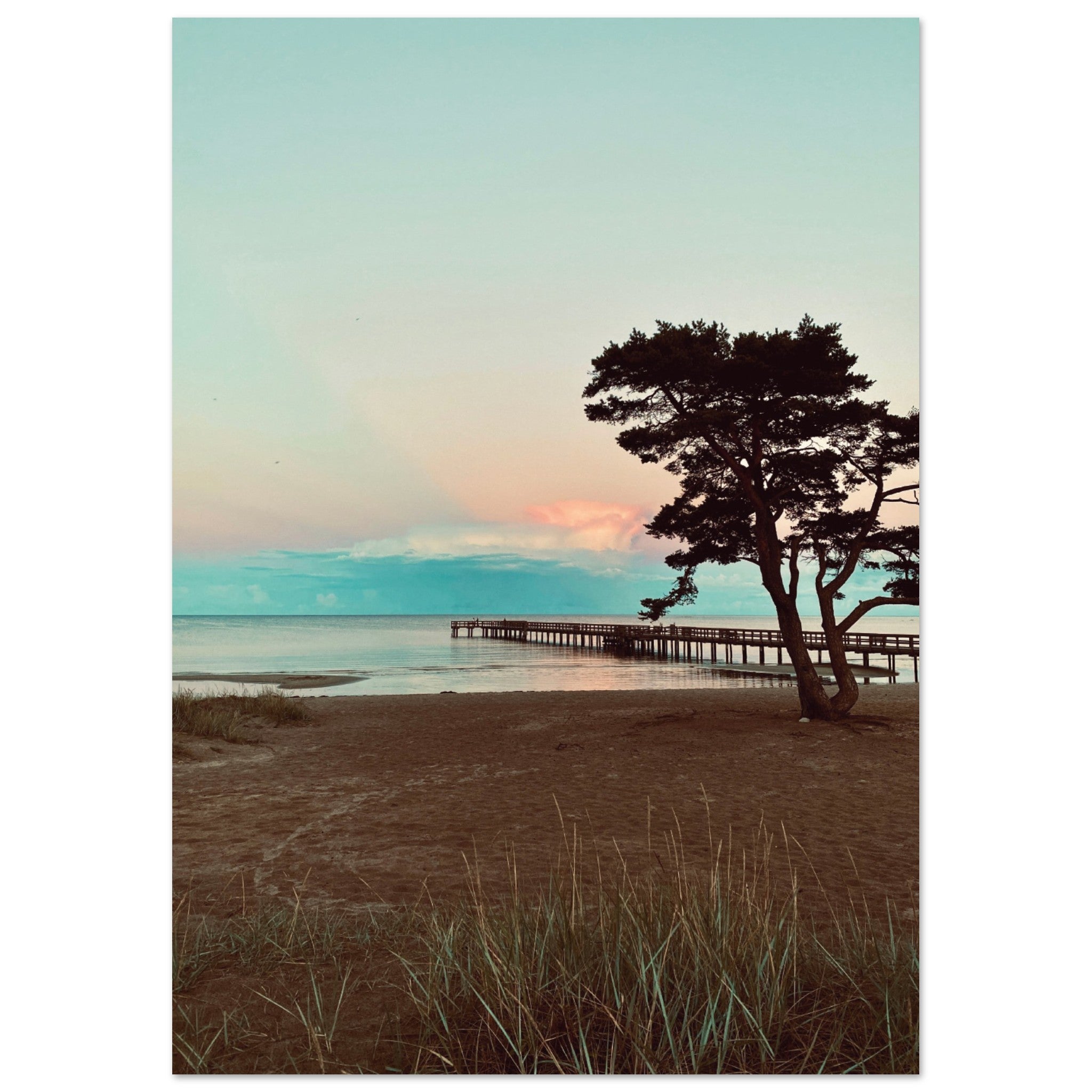 935b52bd-7ac2-4b12-8955-fdb449e43ff0