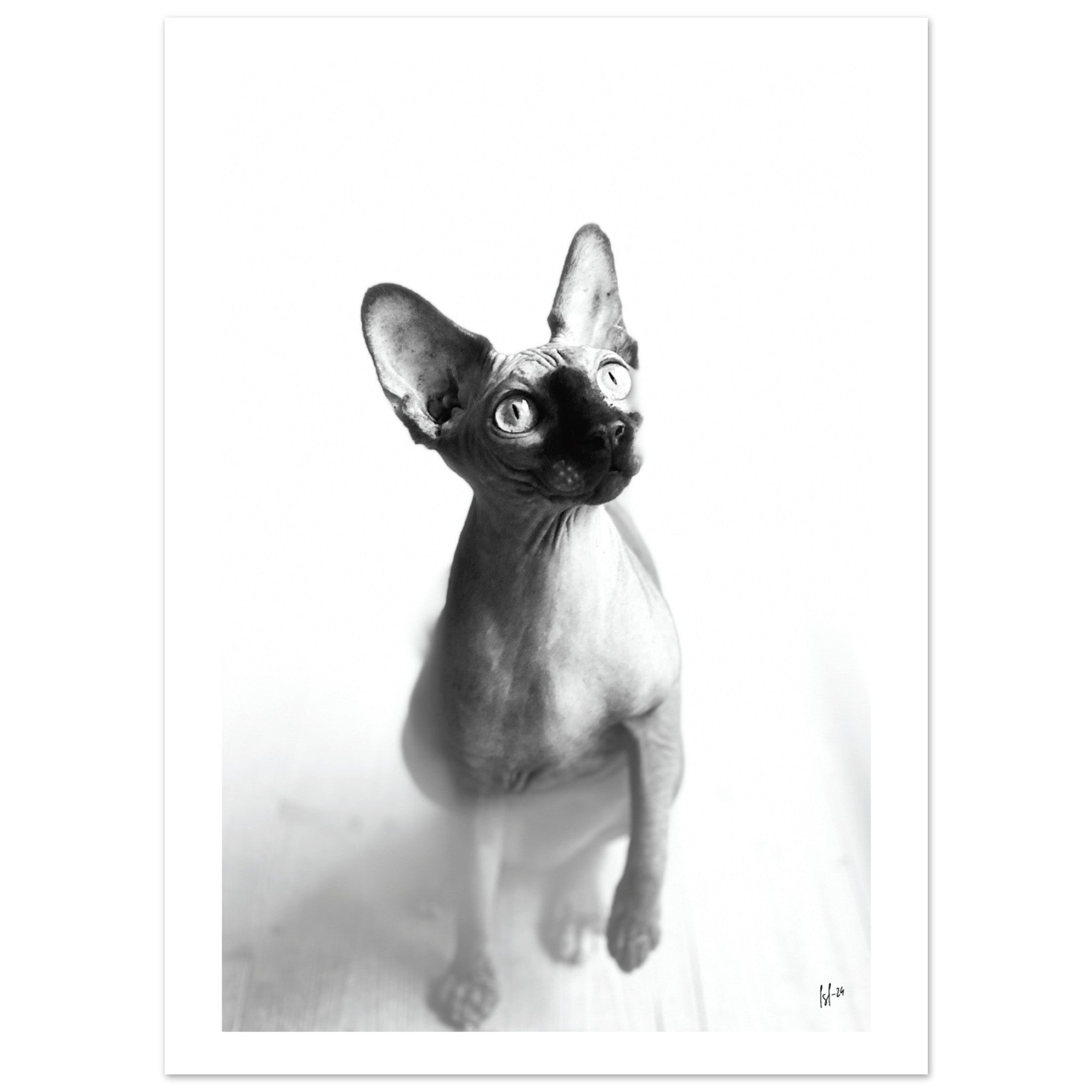 a5f66d69-fc8d-46c2-b456-78a9c3d3d978